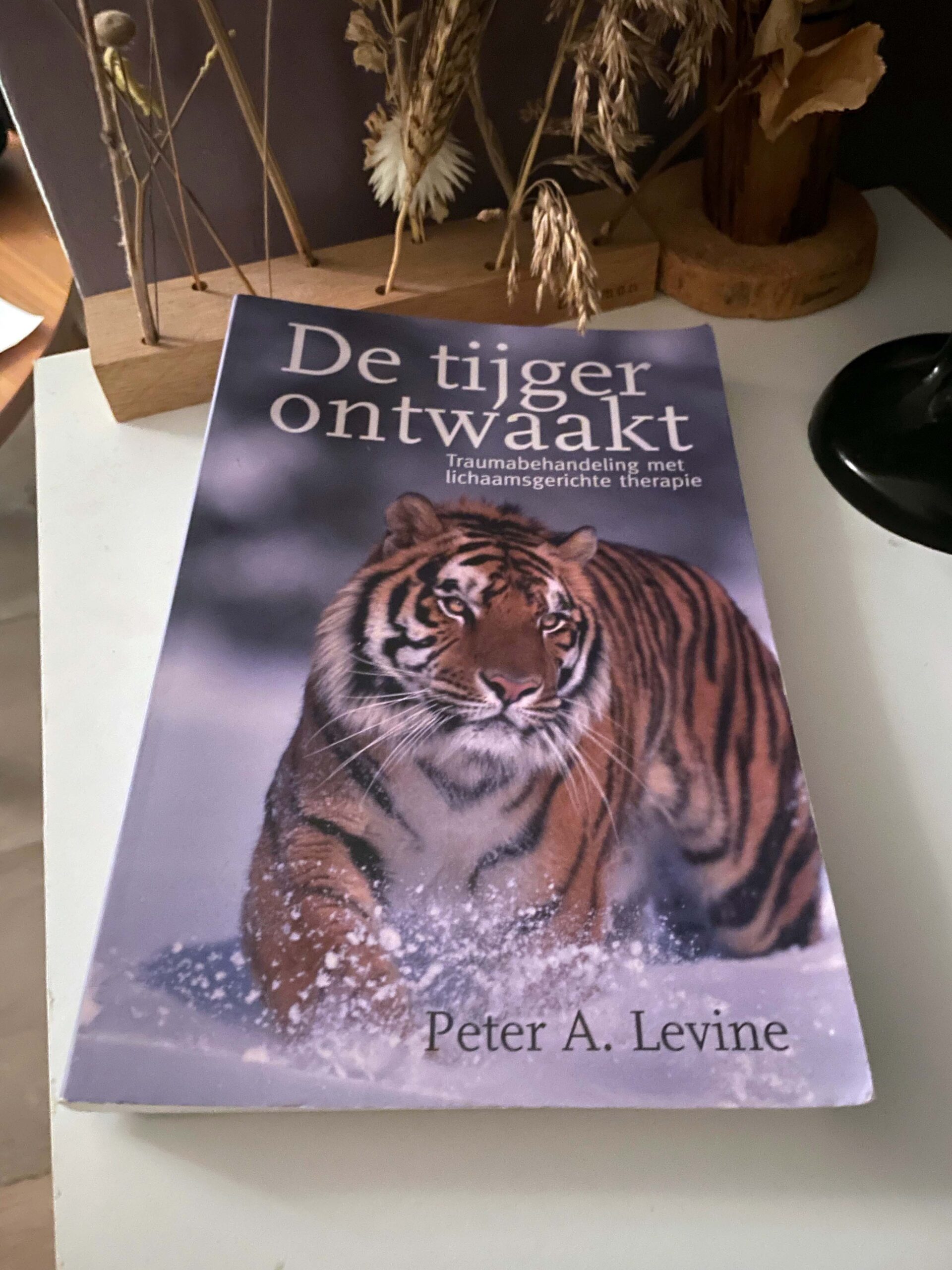 De tijger ontwaakt